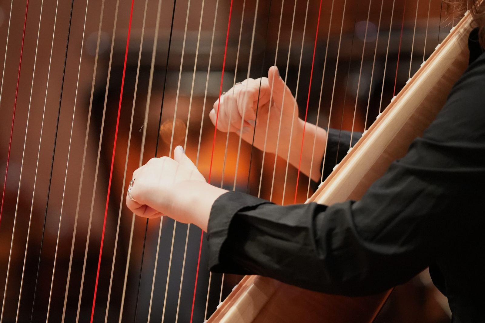 Harpist’s hands on the strings, close up