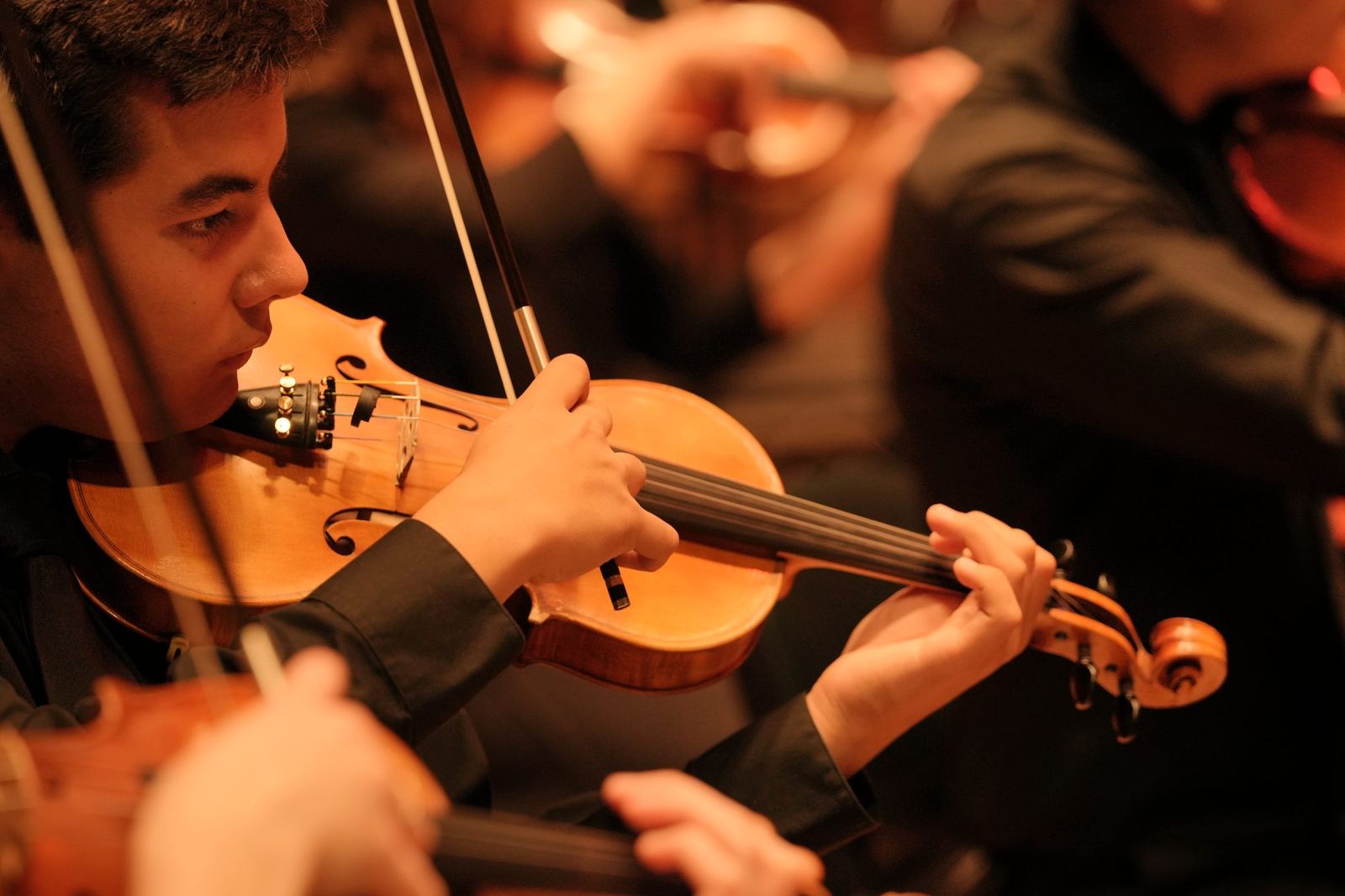 Violinist in warm stage light, close up